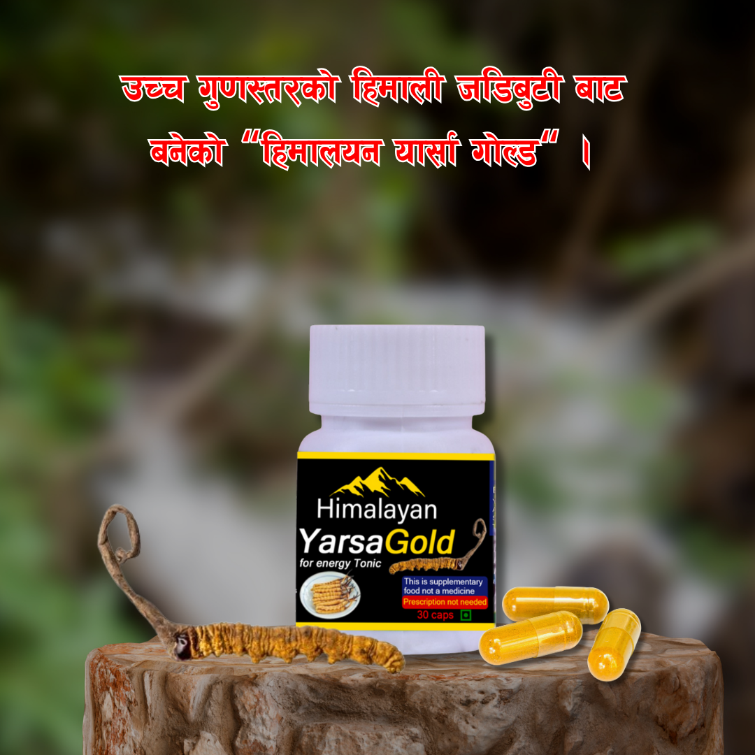 Himalayan YarsaGold For Energy Tonic(30+5 Caps) Mero Deal