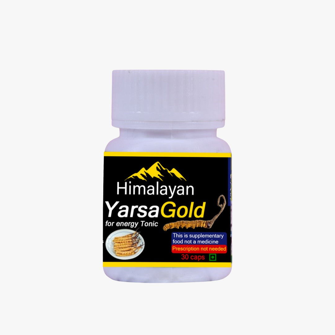 Himalayan Yarsha Gold