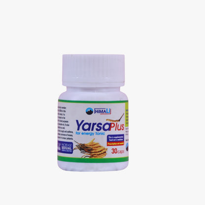 Himalayan Yarsha Gold